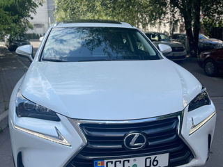 Lexus NX Series