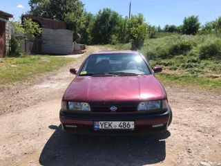 Nissan Primera foto 10