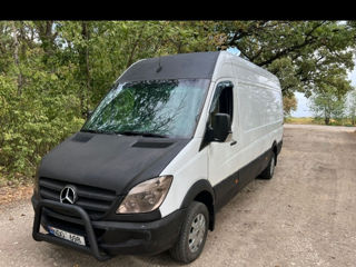 Mercedes Sprinter delfin 313