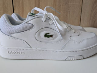 Lacoste 43 foto 7