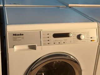 Miele Germania extracalitate foto 9