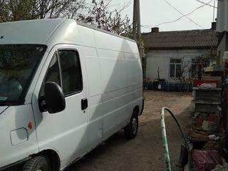 Fiat Ducato foto 4