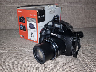 Sony DSC- H300