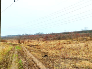 Terenuri agricole extravilan Ghidighici foto 3