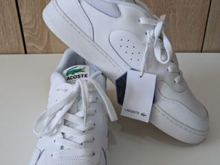 Lacoste 43 foto 4