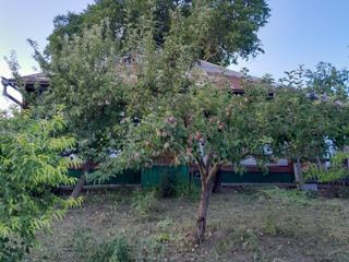 Casă de vinzare ,Balți,satul Bilicenii-Vechi (Sângerei) foto 5