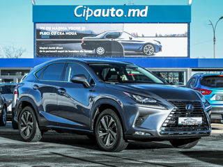 Lexus NX Series foto 4