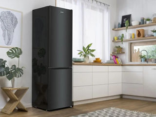 Frigider econom Gorenje (331L)