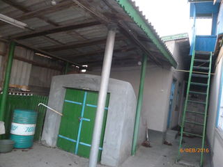 Urgent vand casa in s.Zaim r.Causeni. foto 5