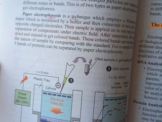 Practical papers of medical biophysics, Bio medical physics. Manuale foto 6