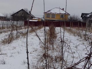 Teren pentru constructii piatra alba foto 6