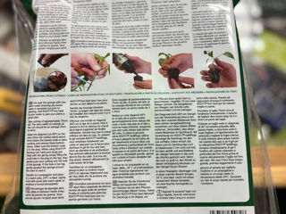 VALUE Rooting Sponge Propagation Kit, set complet pentru germinarea semințelor sau înrădăci foto 1