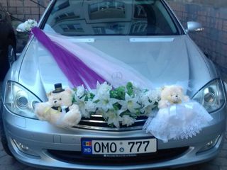 Заказ свадебного кортежа в Бельцах и ближайших районах foto 3