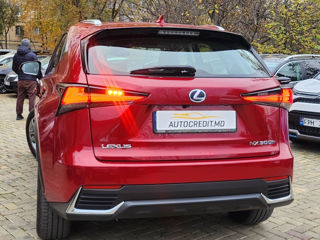 Lexus NX Series foto 19