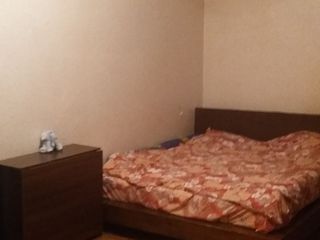 Квартира 245м/2, на ул. Щусева, 102. foto 4