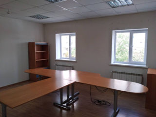 Oficiu pentru afacerea ta! bd. Alba Iulia