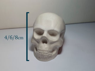 Craniu decorativ foto 1