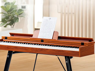 Цифровое пианино Divers D886 Cover Wood Brown (Новые, Гарантия, Рассрочка. Бесплатная доставка) foto 7