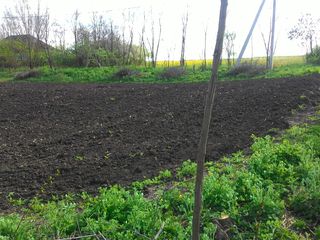 14000 lei vînd casă în stare foarte bună, este fîntînă, nu este crapata nici putred. Trebu de vopsit foto 7