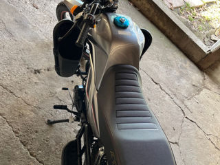 Alpha Moto Andes 2023 Urgent foto 4