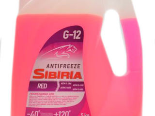 Антифриз Sibiria Antifreeze G12 foto 2