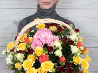 Доставка цветов Вадул-луй-водэ, цветы с доставкой в Вадул-луй-водэ foto 1