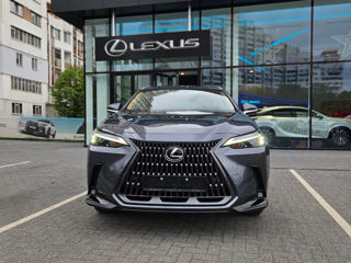 Lexus NX Series