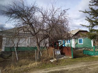 Se vinde casă în sat. Arionești, r. Dondușeni. foto 2