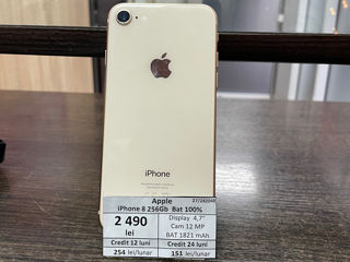 iPhone 8 256 Gb