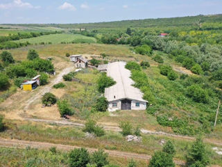 Teren 6hectare + depozit 900m2 (Proprietar) foto 3