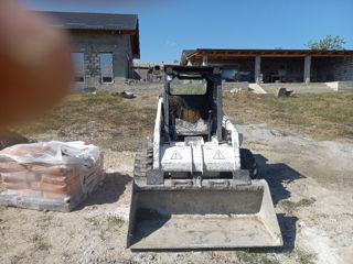 bobcat foto 2