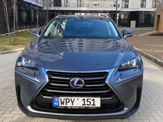 Lexus NX Series