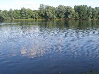 дачный участок без постройки в живописном месте на берегу Днестра foto 1