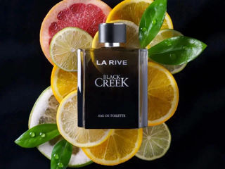 Black Creek for men 100ml