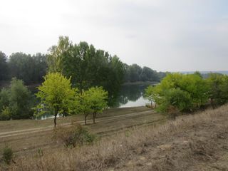 Vilă capitală din piatră masivul de vile din Pîrîta pe o fîșie minunată între pălure și Nistru. Drum foto 1