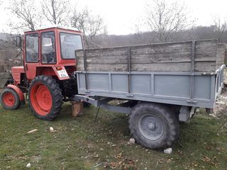 Tractor T-25 foto 2