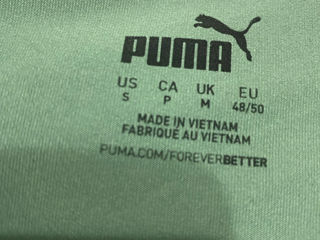 Puma Cldspn LS Plo Sn99 Eucalyptus M foto 5