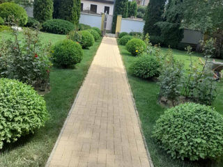 Amenajare pavaj, preț mic calitate înaltă. foto 3