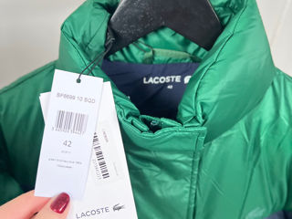 Lacoste foto 3