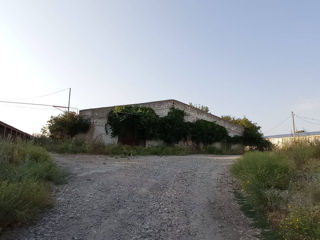 Garaj, Depozit, Spatiu p-t producere in Floresti, langa Avangard