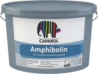 Amphibolin