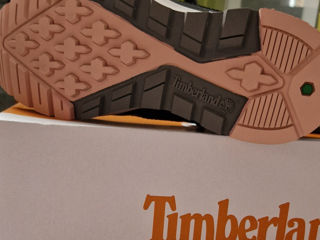 Timberland foto 2