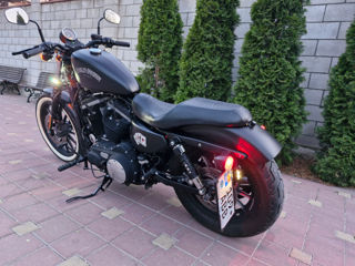 Harley - Davidson Iron 883 foto 7