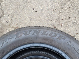 205 60 16, 2022 Dunlop Germania iarna 95% foto 5