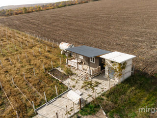 s. Balțata, Criuleni, Chișinău foto 3