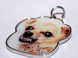Медальон-брелок для домашних животных!!! foto 5