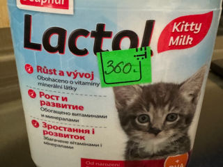 Продам сухое молоко для котят