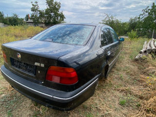 BMW 5 Series foto 5