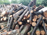 Cumparam  lemne la kb 20scladometri Stejar, Frasin Carpen foto 1