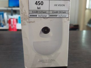 HK Vision IP Camera / 450 Lei